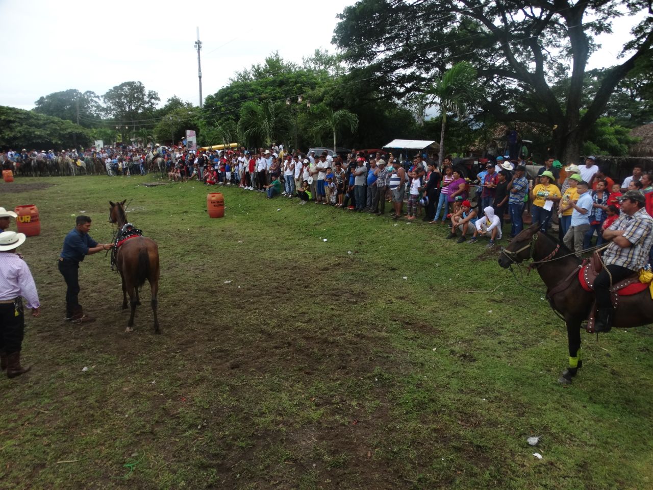 caballos